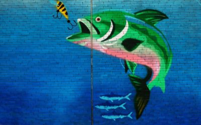 Customer Profiling: A Fishy Business